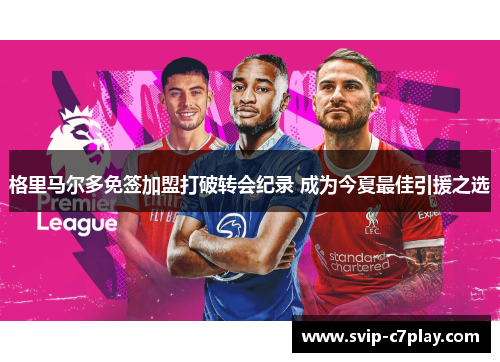 格里马尔多免签加盟打破转会纪录 成为今夏最佳引援之选 格里马尔多免签加盟打破转会纪录 成为今夏最佳引援之选