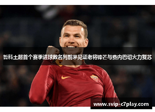 哲科土超首个赛季进球数名列前茅见证老将锋芒与费内巴切火力复苏 哲科土超首个赛季进球数名列前茅见证老将锋芒与费内巴切火力复苏